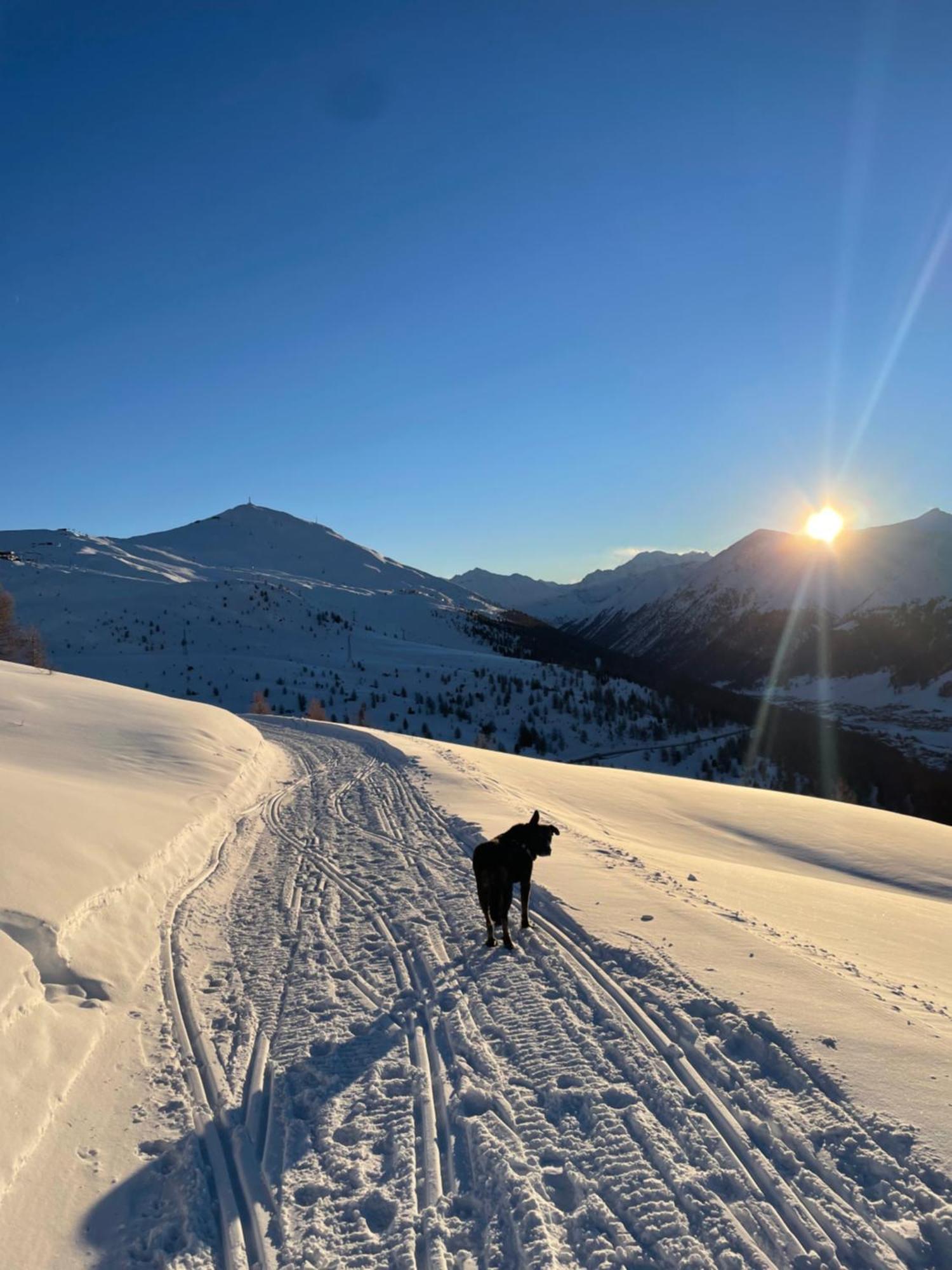 Residence S Lucia - Appartamenti Alle Porte Di Bormio ヴァルディソット エクステリア 写真