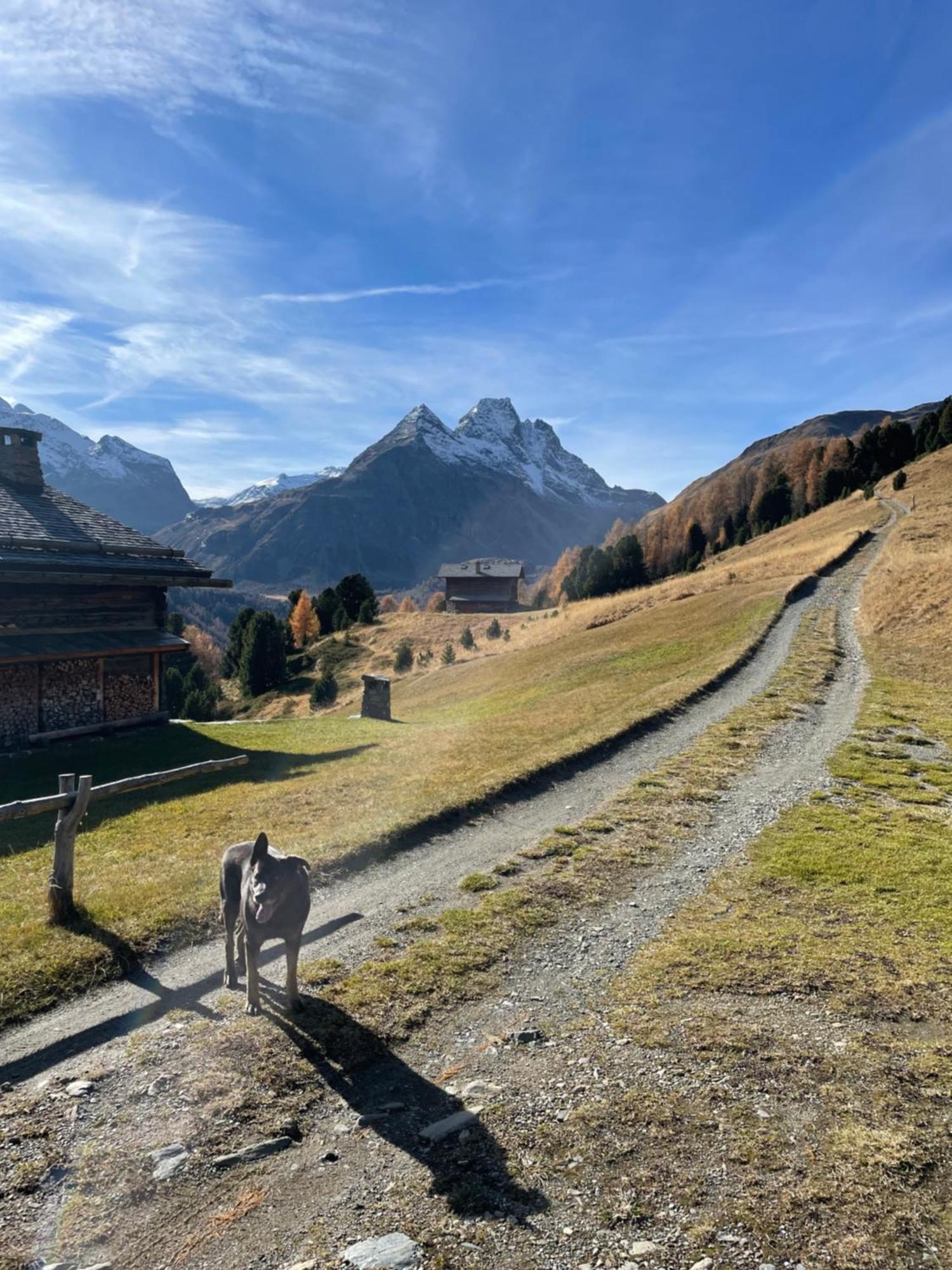 Residence S Lucia - Appartamenti Alle Porte Di Bormio ヴァルディソット エクステリア 写真